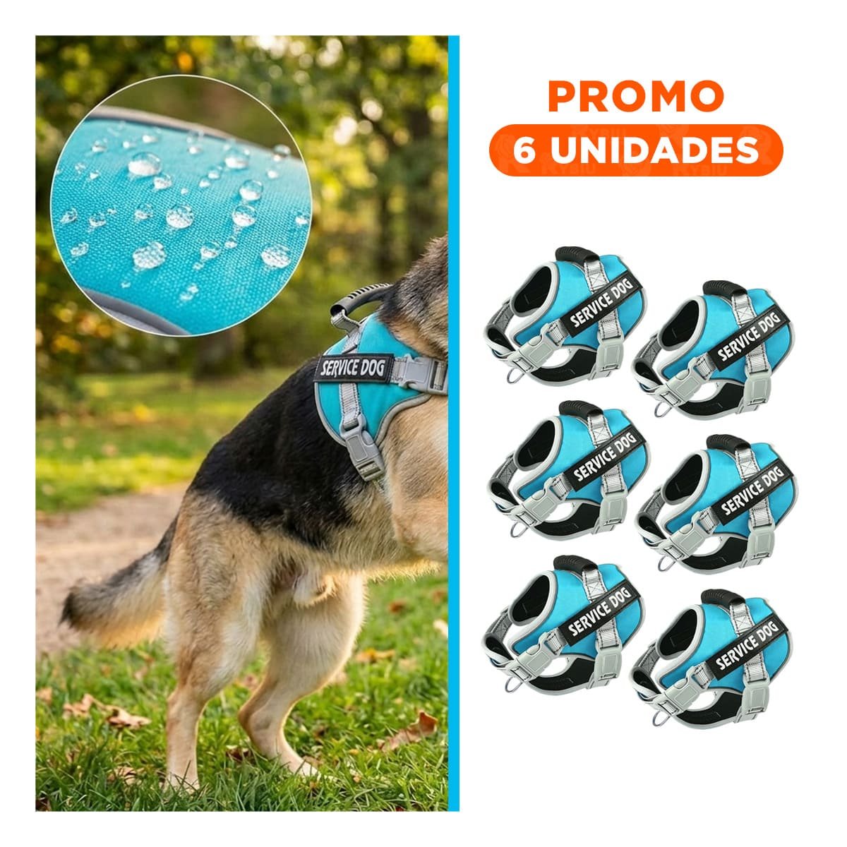 PACK6 HARNESS RESISTENTE SERVICE DOG TALLA L TURQUEZA CON ASA - 1