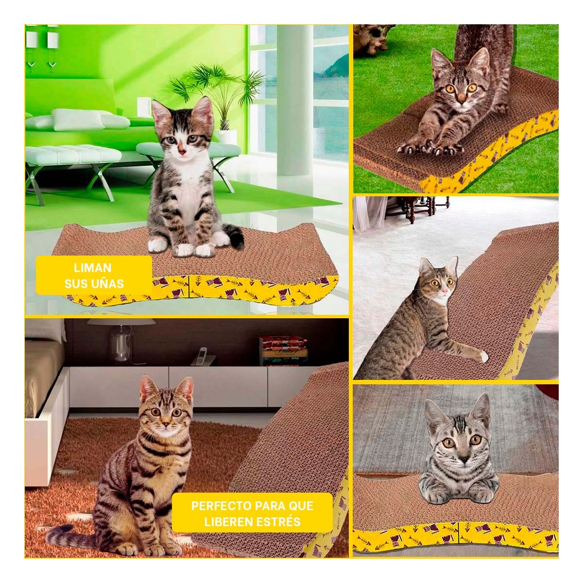 PACK4 CIRCUITO PARA GATOS EN FORMA DE C CON SUPERFICIE DURABLE Y+REGALO STICKER - 2