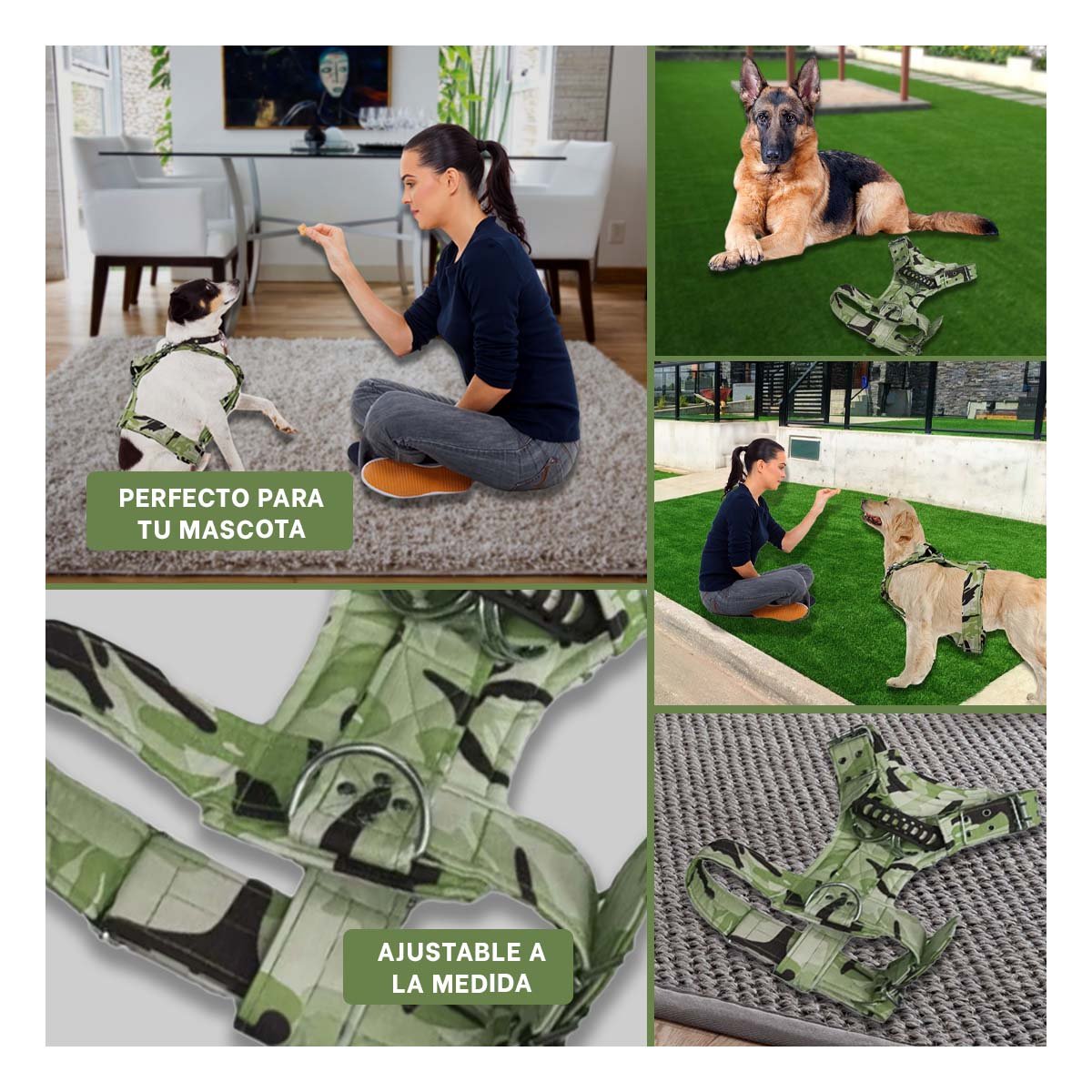 PACK2 CHALECO CANINO DOG STRONG VERDE OSCURO TALLA S CON DISENO MODERNO Y+PAPEL REGALO - 3