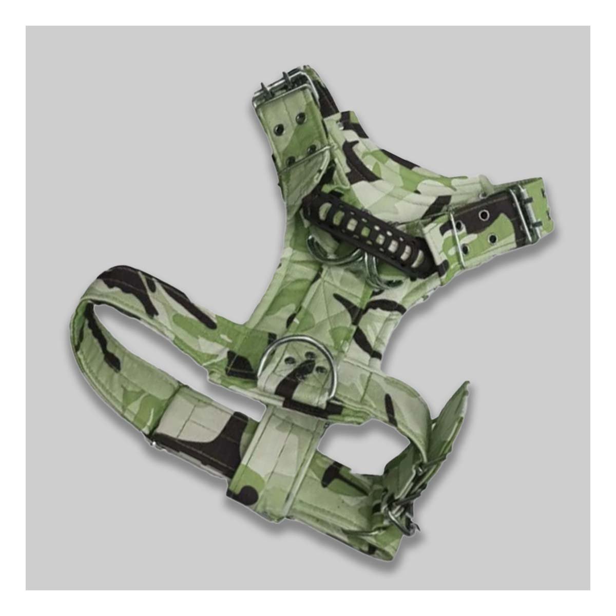 PACK2 SOPORTE PARA PERRO DOG STRONG VERDE OSCURO TALLA S SEGURO Y COMODO - 1