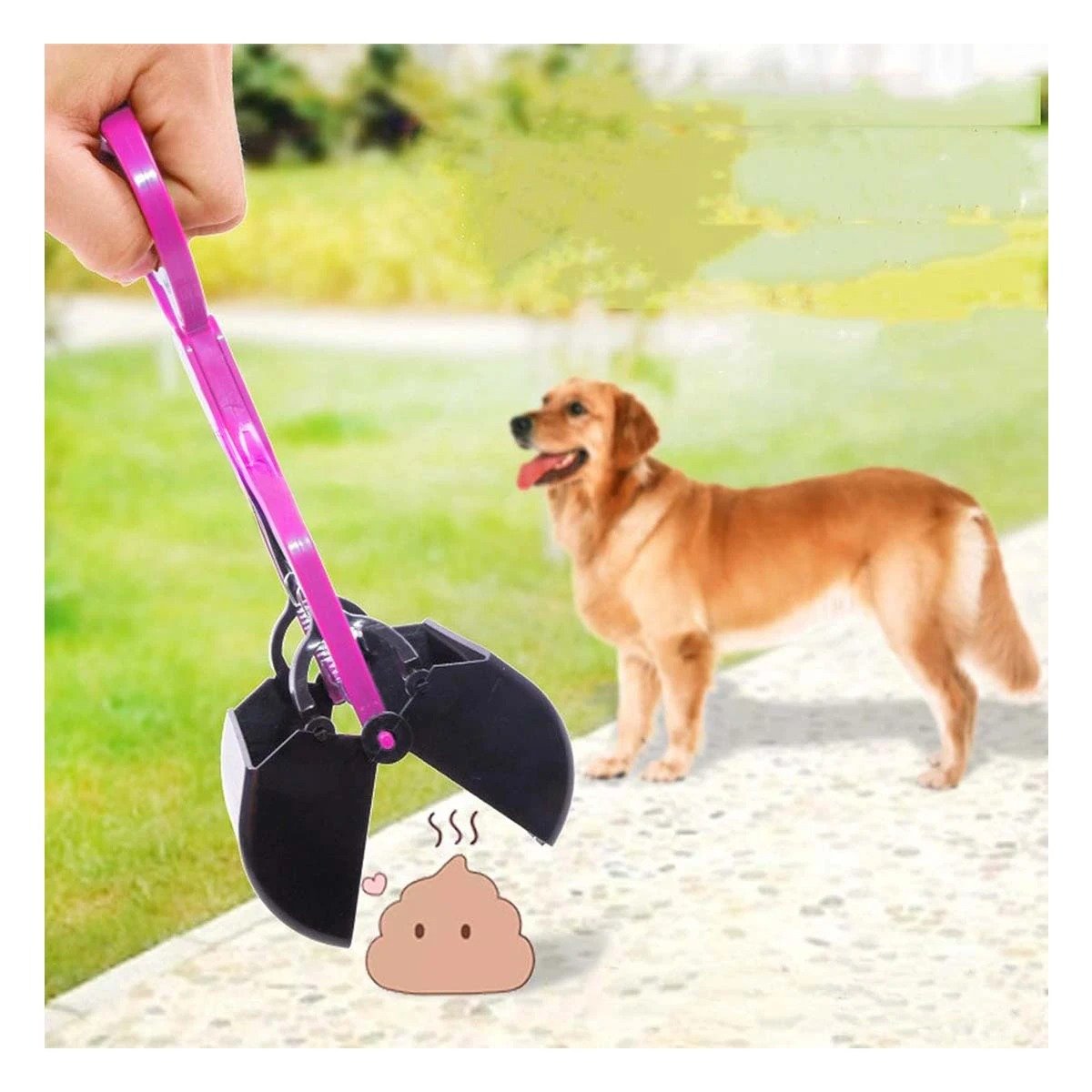 PACK12 RECOLECTOR LIGERO ROSADO PARA PASEO DIARIO Y+PAPEL REGALO - 5