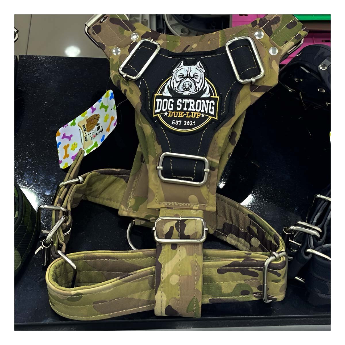 PETO PARA PERRO DOG STRONG VERDE CLARO TALLA M FIRME Y RESISTENTE - 2