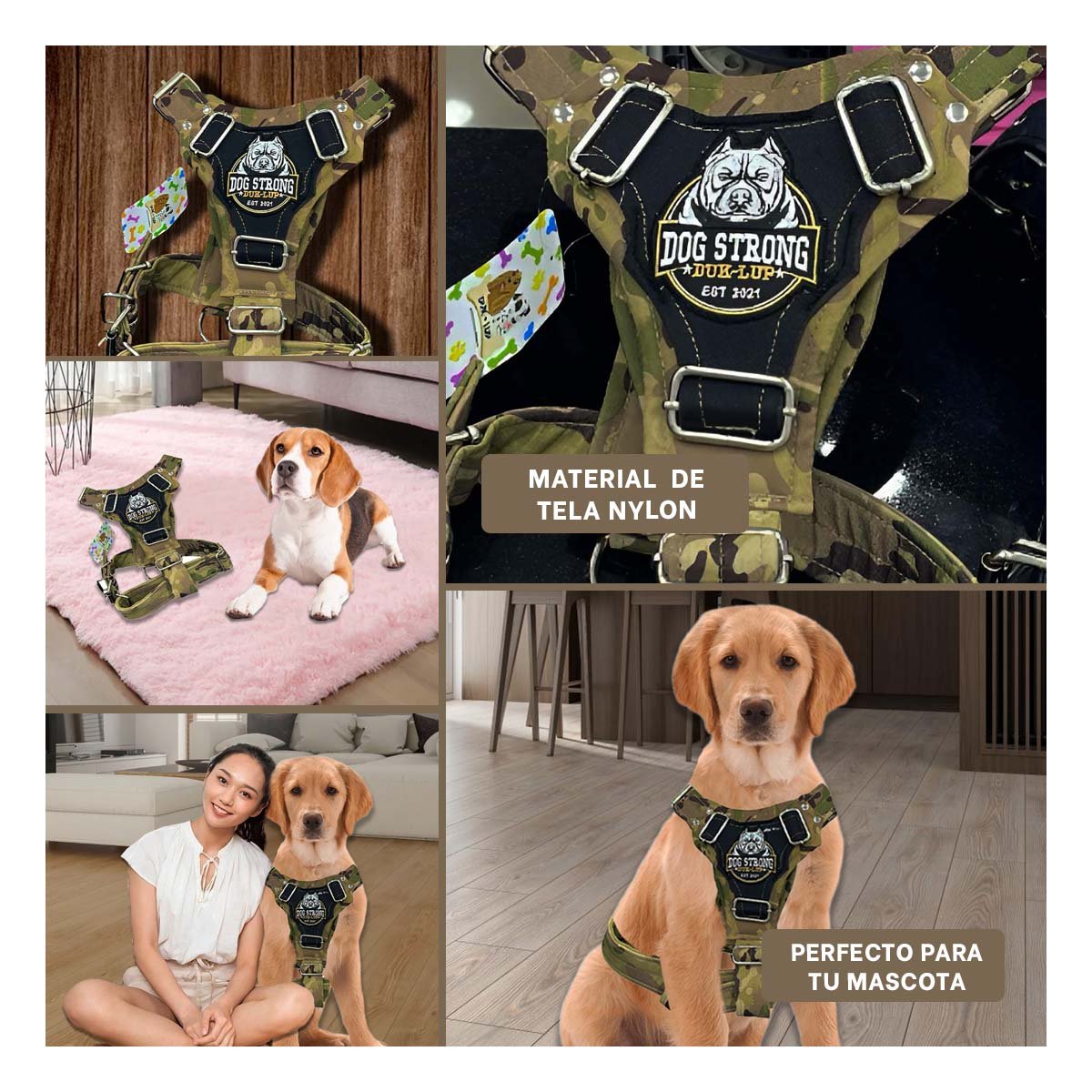 PETO PARA PERRO DOG STRONG VERDE CLARO TALLA M FIRME Y RESISTENTE - 5