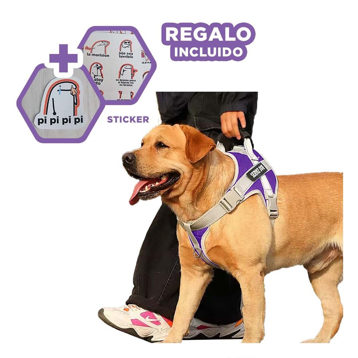PETO PROFESIONAL SERVICE DOG TALLA XL MORADO CON ASA Y+REGALO STICKER - 1