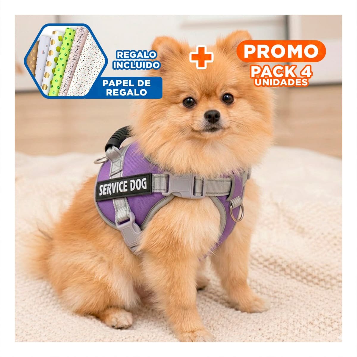 PACK4 ARNES RESISTENTE SERVICE DOG TALLA XS MORADO CON ASA Y+PAPEL REGALO - 1