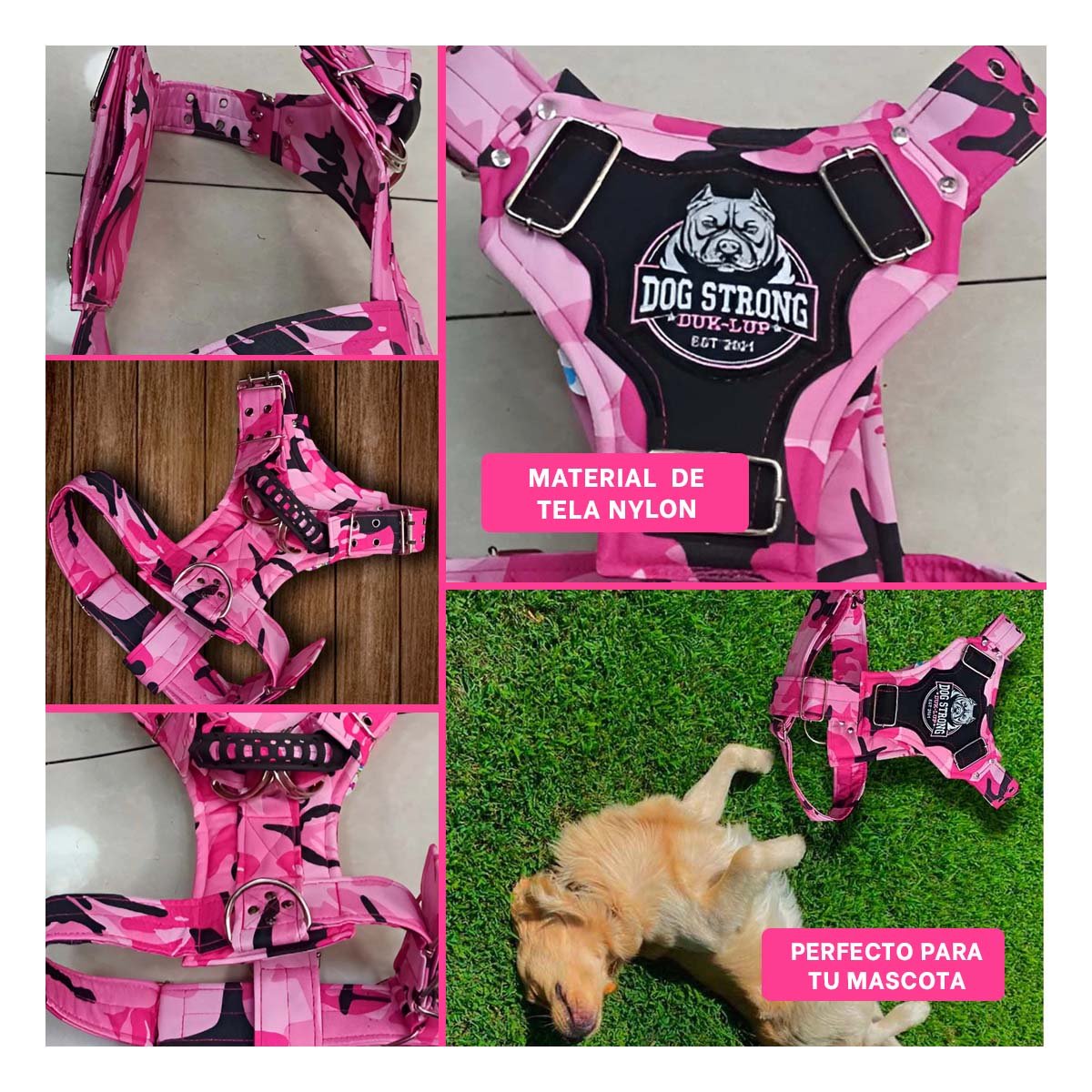PACK4 ACCESORIO RESISTENTE DOG STRONG ROSADO TALLA S PARA PERRO Y+REGALO STICKER - 2
