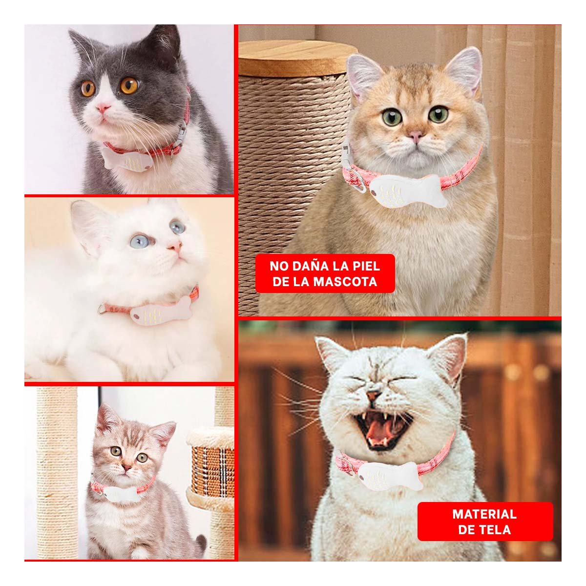 PACK6 COLLARIN COMODO MODELO PEZ ROJO PARA MASCOTA Y+PAPEL REGALO - 3