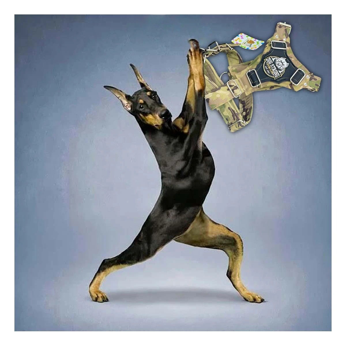 CHALECO PARA PERRO DOG STRONG VERDE CLARO TALLA L REFORZADO Y COMODO Y+PAPEL REGALO - 2