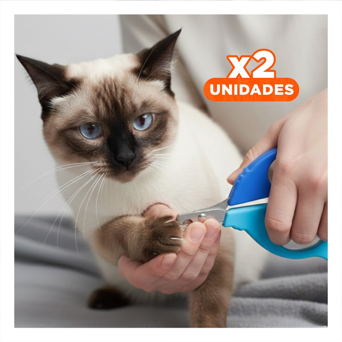 PACK2 TIJERA COMPACTA PARA GATOS Y CACHORROS CELESTE Y+REGALO STICKER - 1