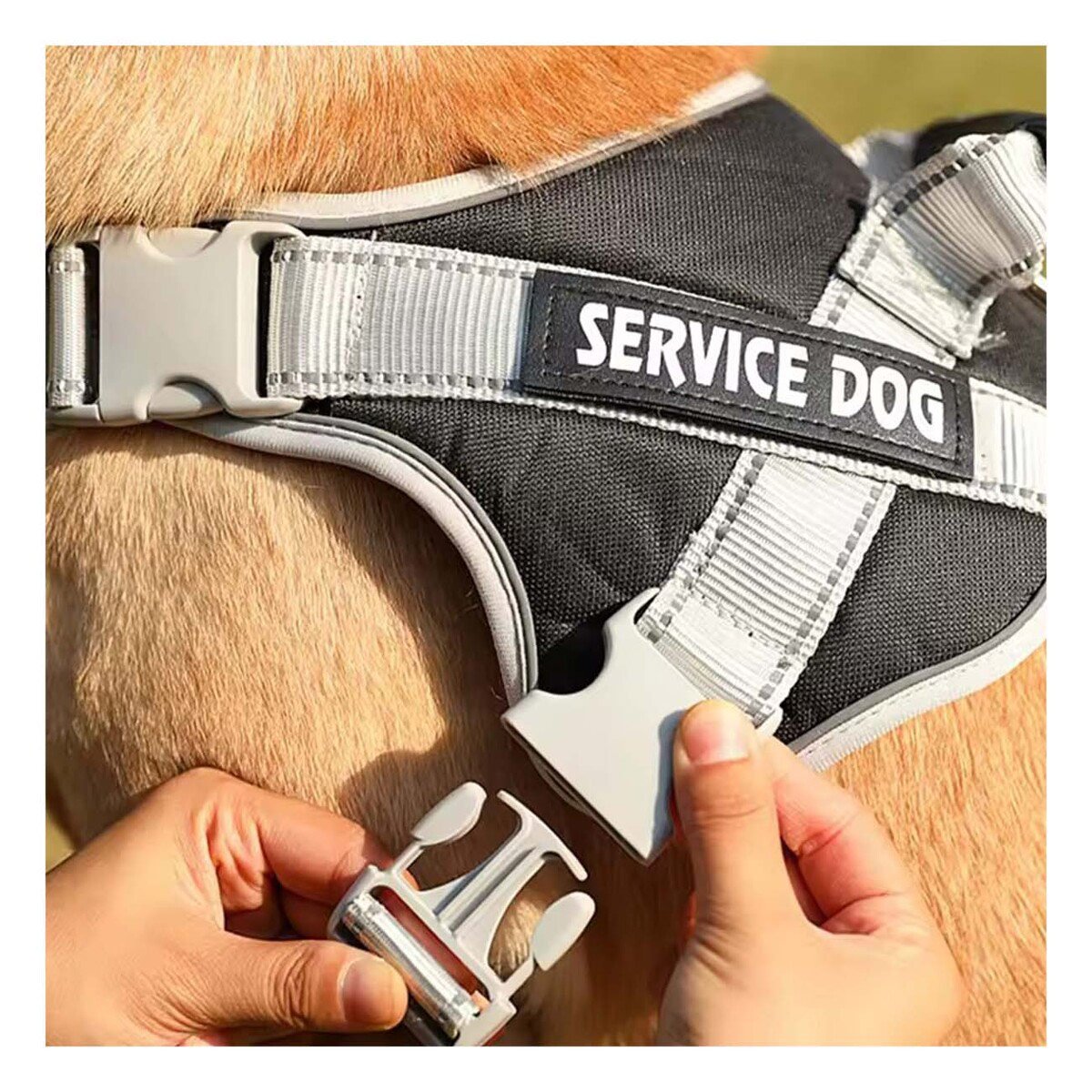 PACK2 CHALECO AJUSTABLE SERVICE DOG TALLA XS NEGRO CON ASA - 3