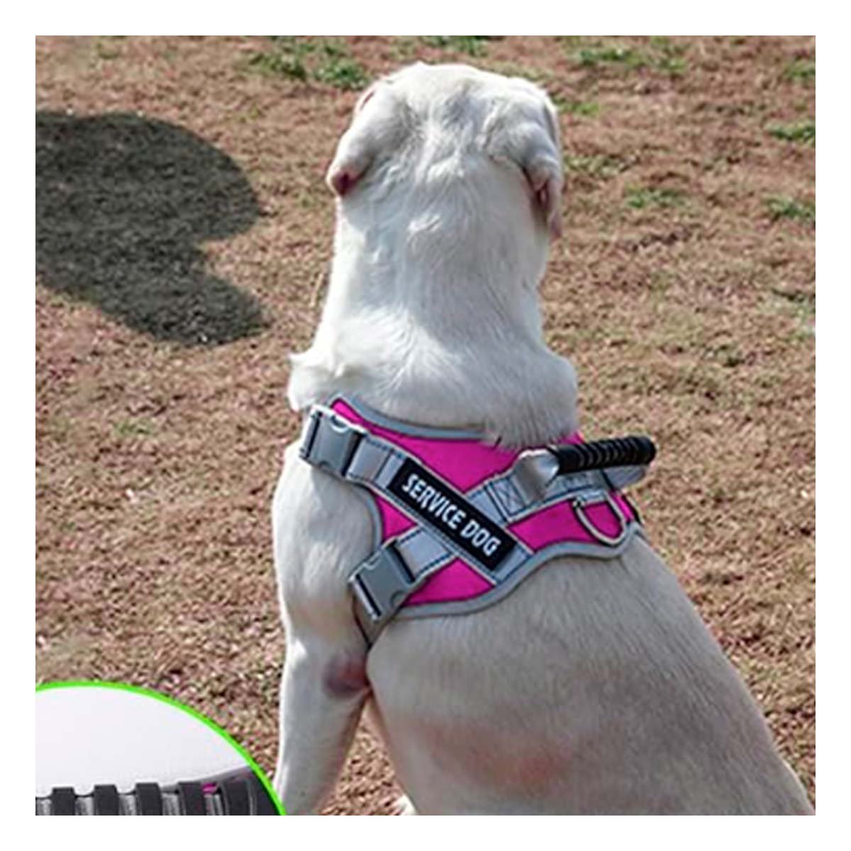 HARNESS PROFESIONAL SERVICE DOG TALLA XS FUCSIA CON ASA Y+PAPEL REGALO - 2