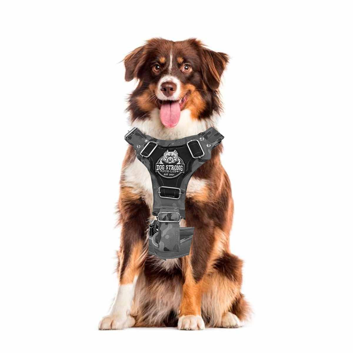 PACK4 PECHERA AJUSTABLE DOG STRONG NEGRO TALLA M COMODA Y FIRME Y+PAPEL REGALO - 3