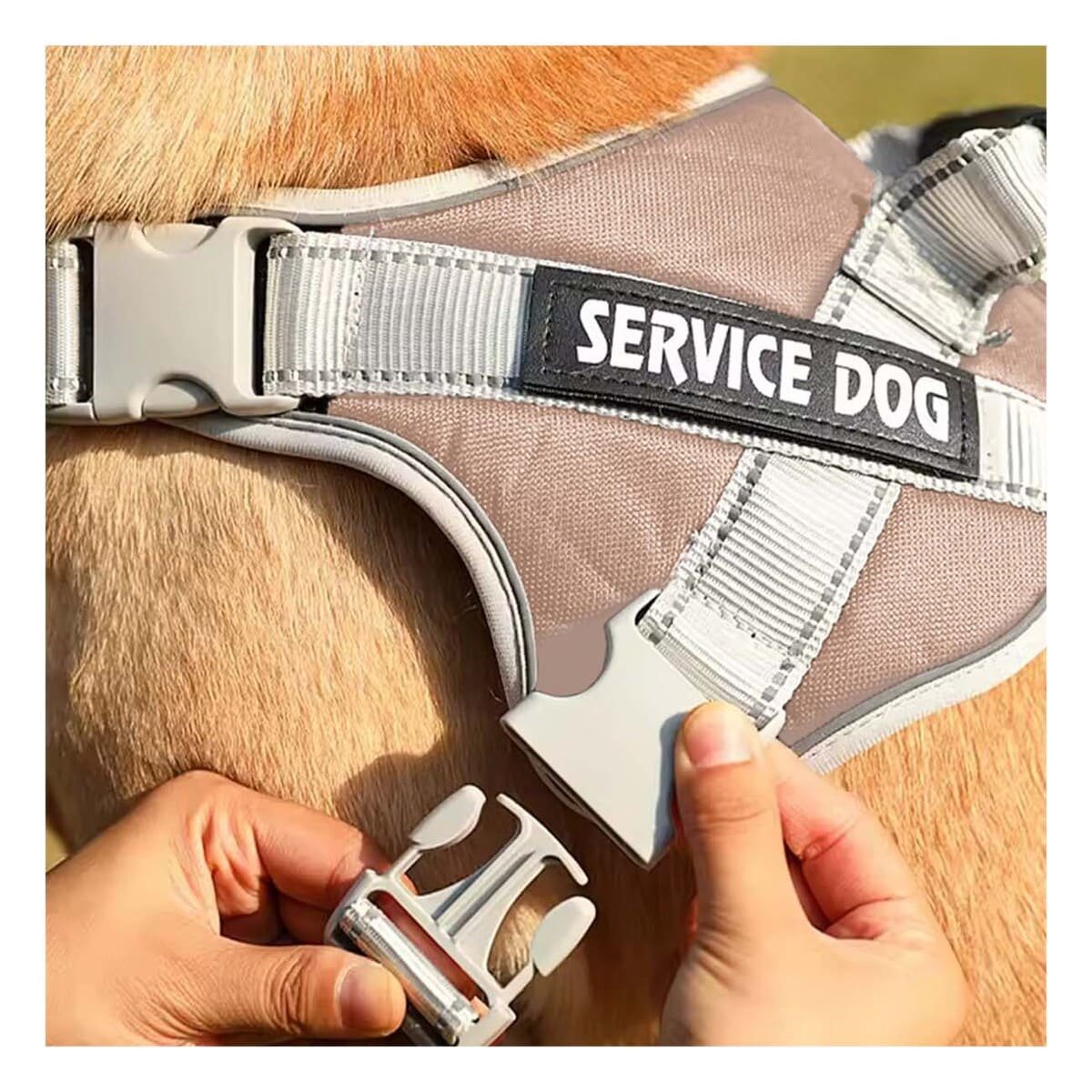 HARNESS PROFESIONAL SERVICE DOG TALLA XS MARRON CON ASA Y+PAPEL REGALO - 3