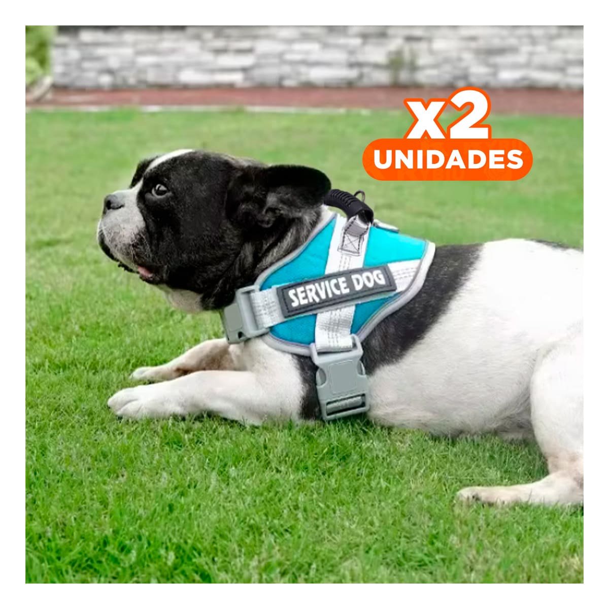 PACK2 PETO AJUSTABLE SERVICE DOG TALLA XS TURQUEZA CON ASA Y+REGALO STICKER - 1