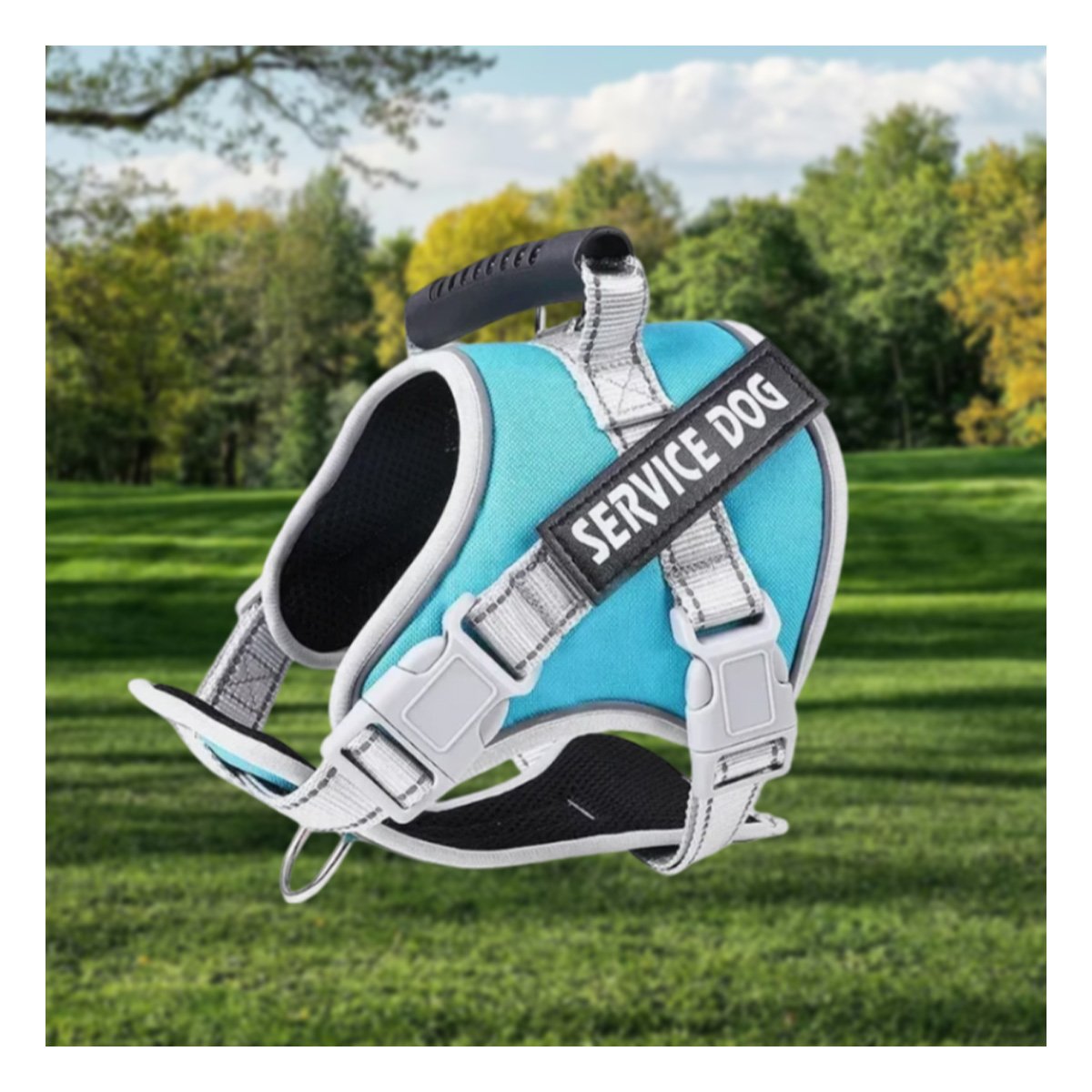 PACK2 PETO AJUSTABLE SERVICE DOG TALLA XS TURQUEZA CON ASA Y+REGALO STICKER - 3