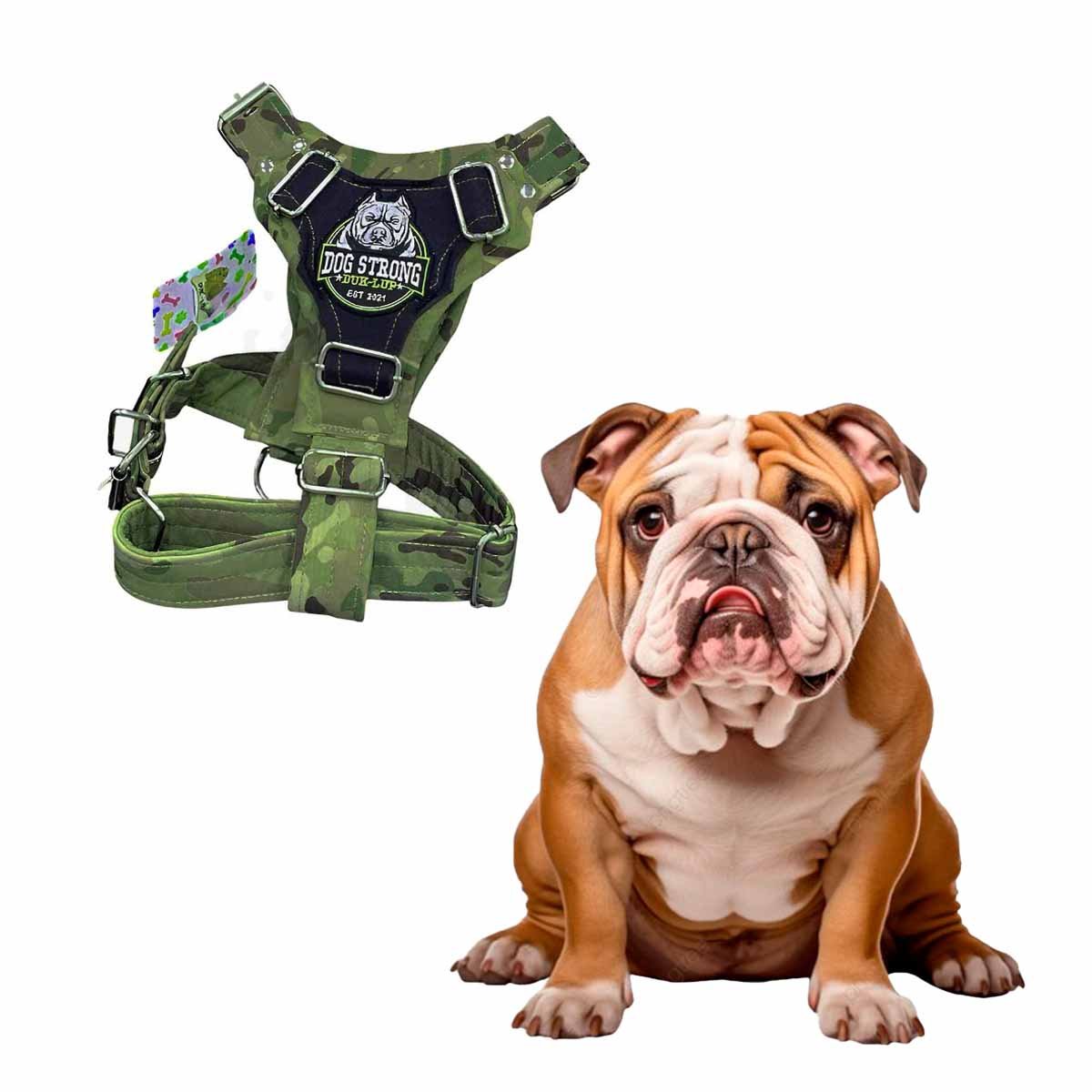 PRENDA PARA PERRO DOG STRONG VERDE OSCURO TALLA M COMODA Y DURABLE Y+LIGAS REGALO - 3