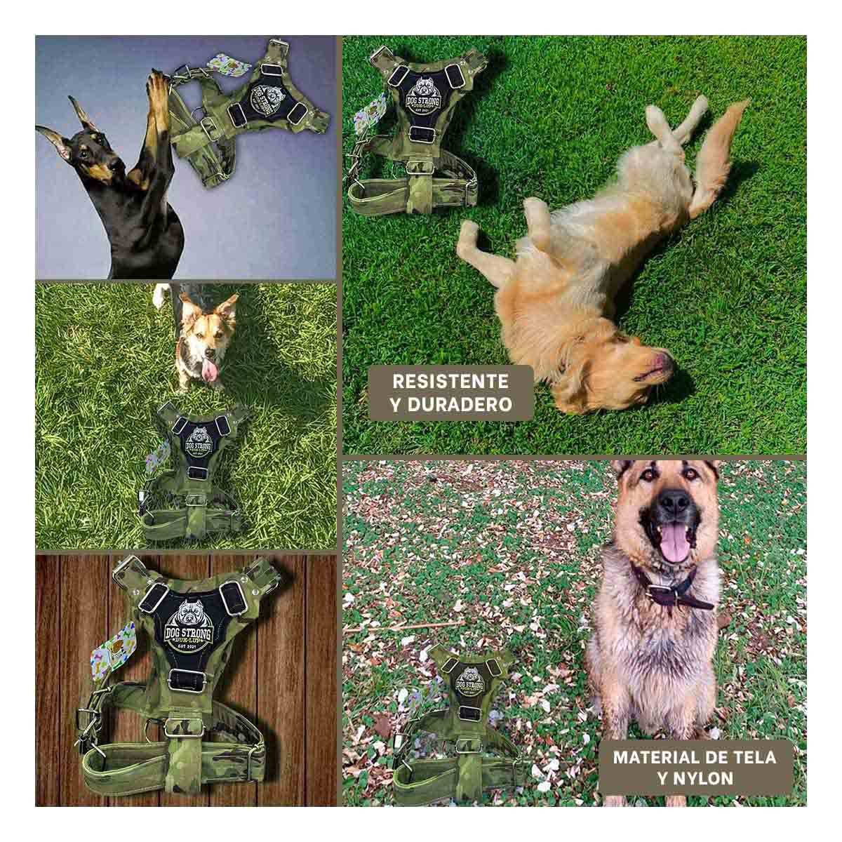 PRENDA PARA PERRO DOG STRONG VERDE OSCURO TALLA M COMODA Y DURABLE Y+LIGAS REGALO - 5