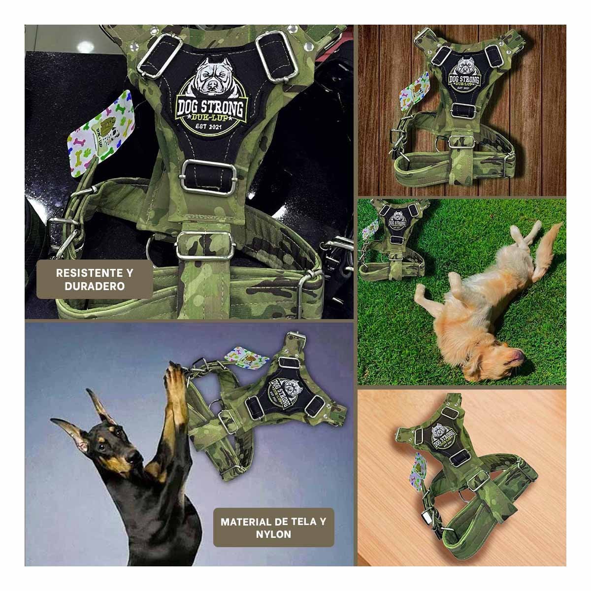EQUIPO CANINO DOG STRONG VERDE OSCURO TALLA M CON AJUSTE PRACTICO Y+POST IT - 5