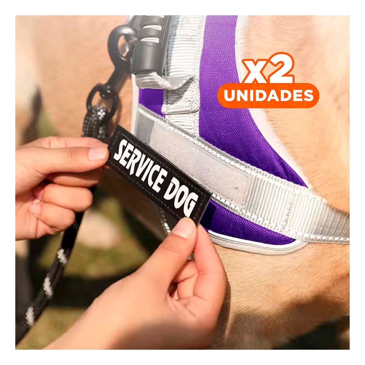 PACK2 PETO AJUSTABLE SERVICE DOG TALLA XL MORADO CON ASA Y+REGALO STICKER - 1