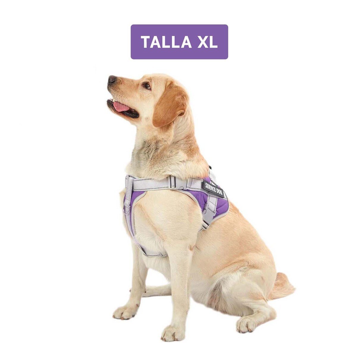 PACK2 PETO AJUSTABLE SERVICE DOG TALLA XL MORADO CON ASA Y+REGALO STICKER - 4