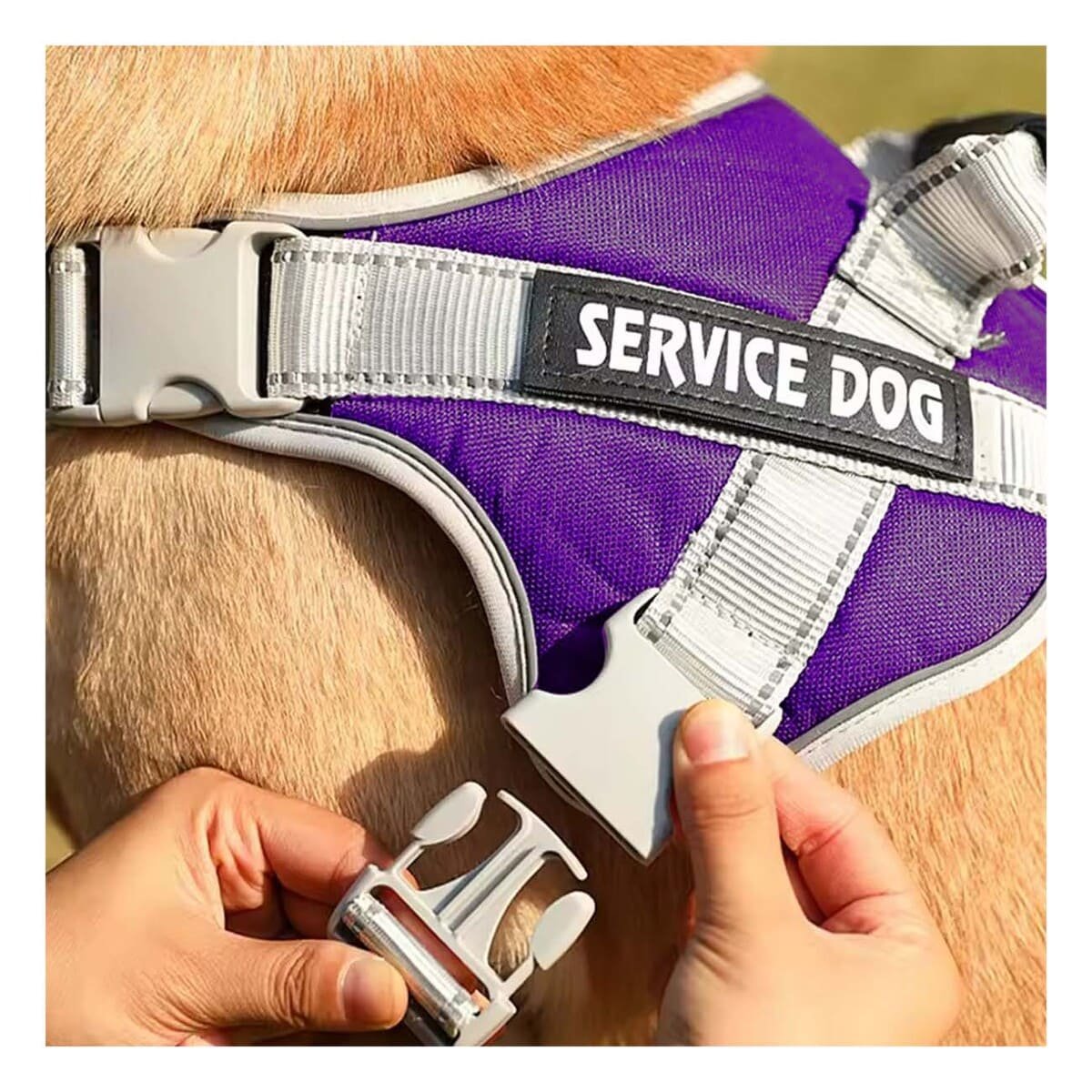 PACK2 PETO AJUSTABLE SERVICE DOG TALLA XL MORADO CON ASA Y+REGALO STICKER - 5