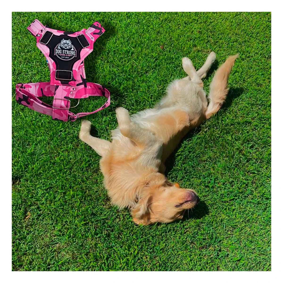 PACK4 PECHERA AJUSTABLE DOG STRONG ROSADO TALLA M COMODA Y FIRME Y+PAPEL REGALO - 1