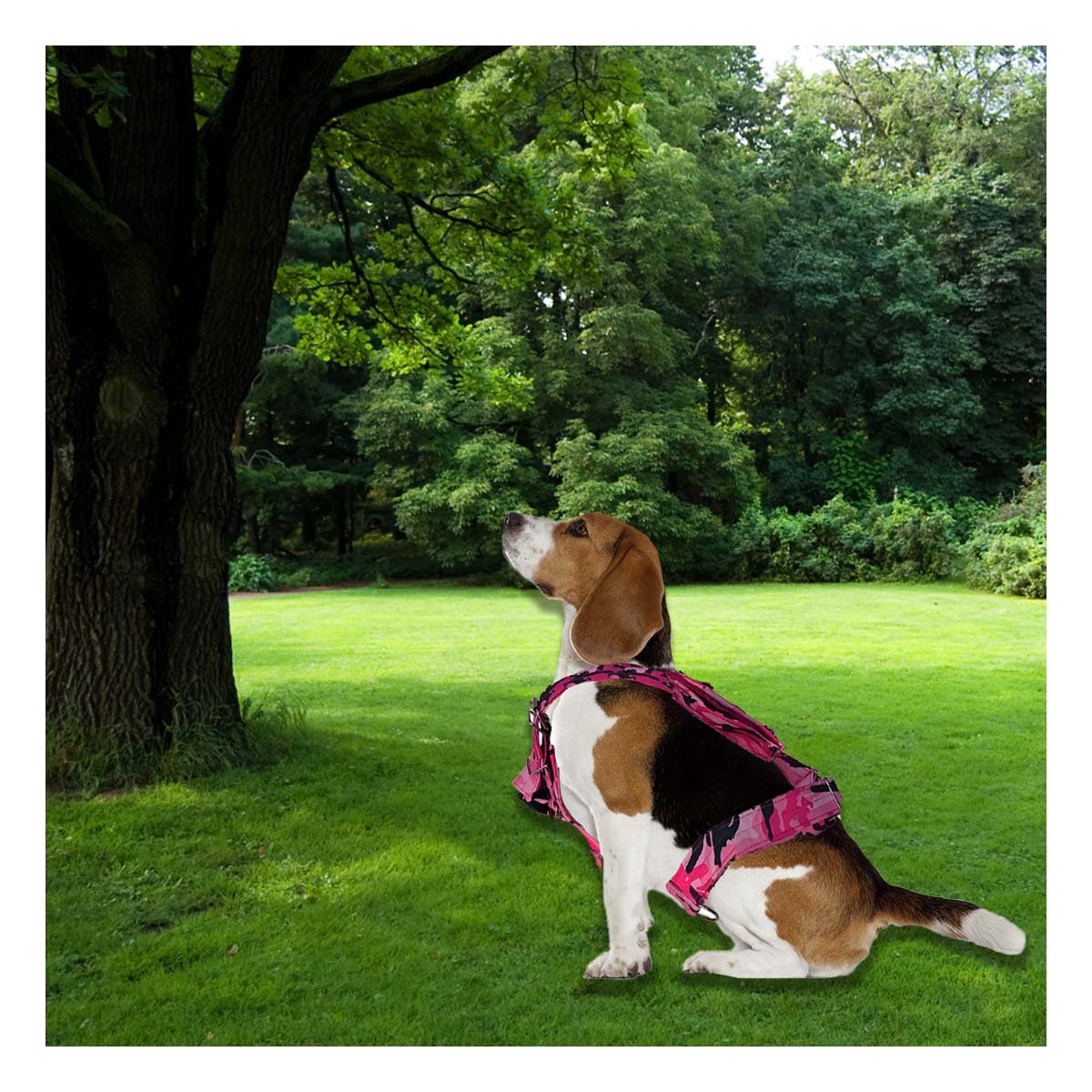PACK2 CHALECO CANINO DOG STRONG ROSADO TALLA S CON DISENO MODERNO Y+PAPEL REGALO - 5