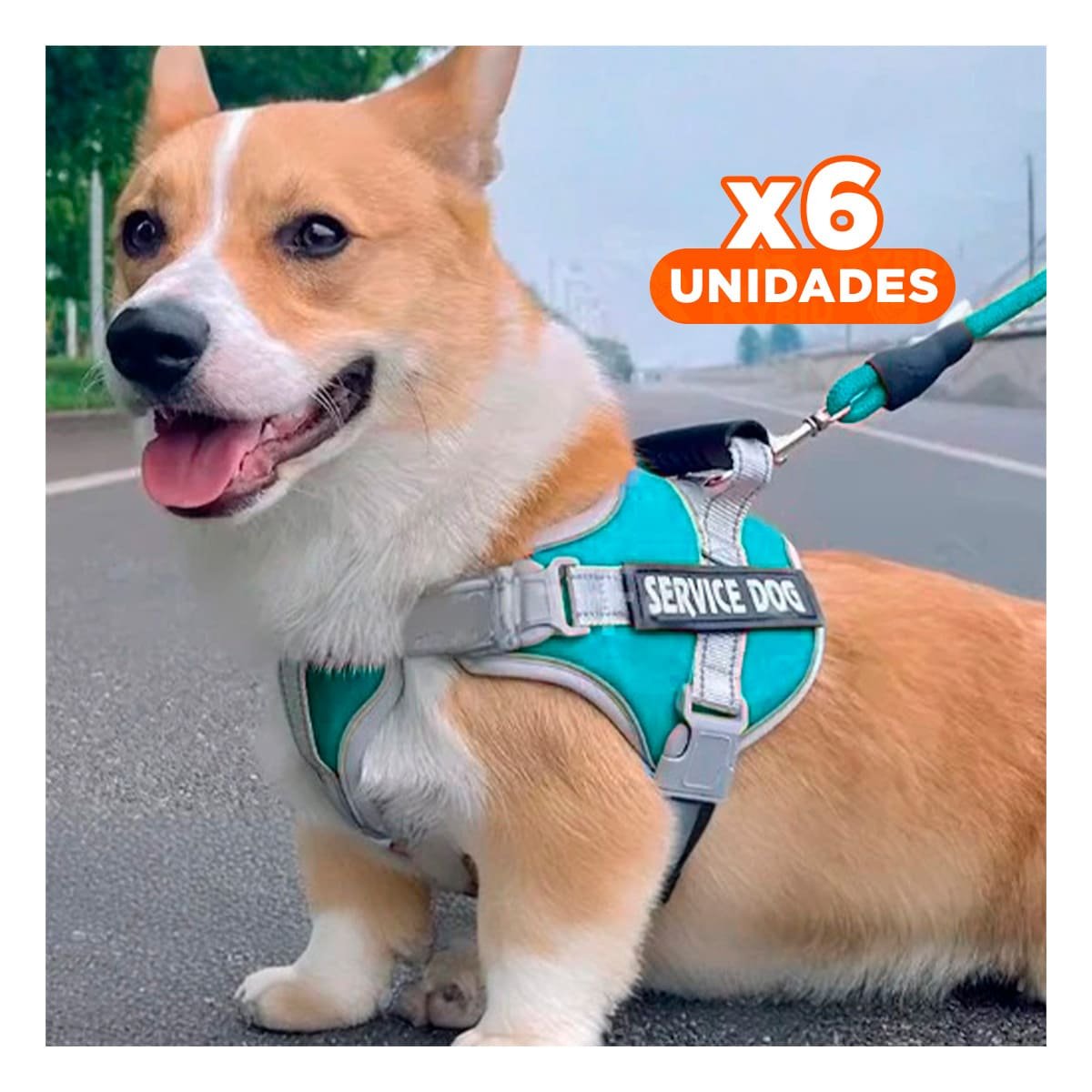 PACK6 PECHERA COMODA SERVICE DOG TALLA XS TURQUEZA CON ASA Y+REGALO STICKER - 1