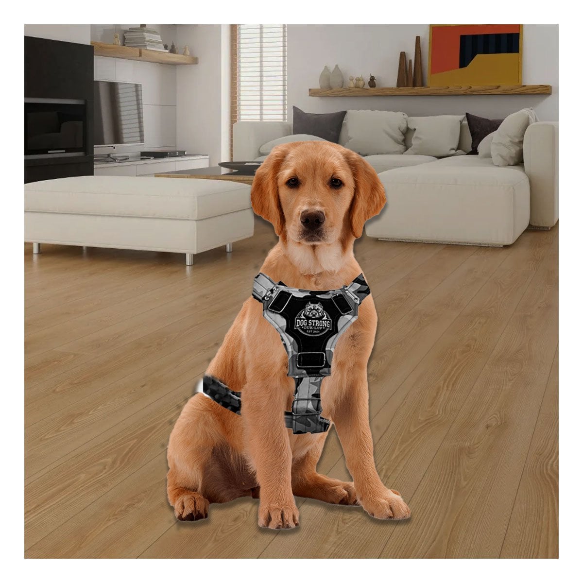 PACK4 PECHERA AJUSTABLE DOG STRONG NEGRO TALLA S COMODA Y FIRME Y+PAPEL REGALO - 2
