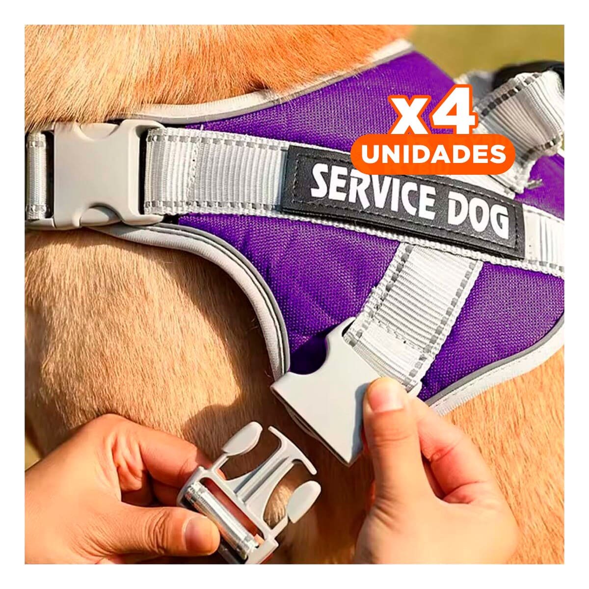 PACK4 PECHERA RESISTENTE SERVICE DOG TALLA XL MORADO CON ASA - 1