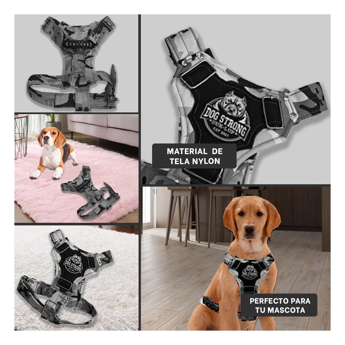 PACK4 ACCESORIO RESISTENTE DOG STRONG NEGRO TALLA S PARA PERRO Y+REGALO STICKER - 2