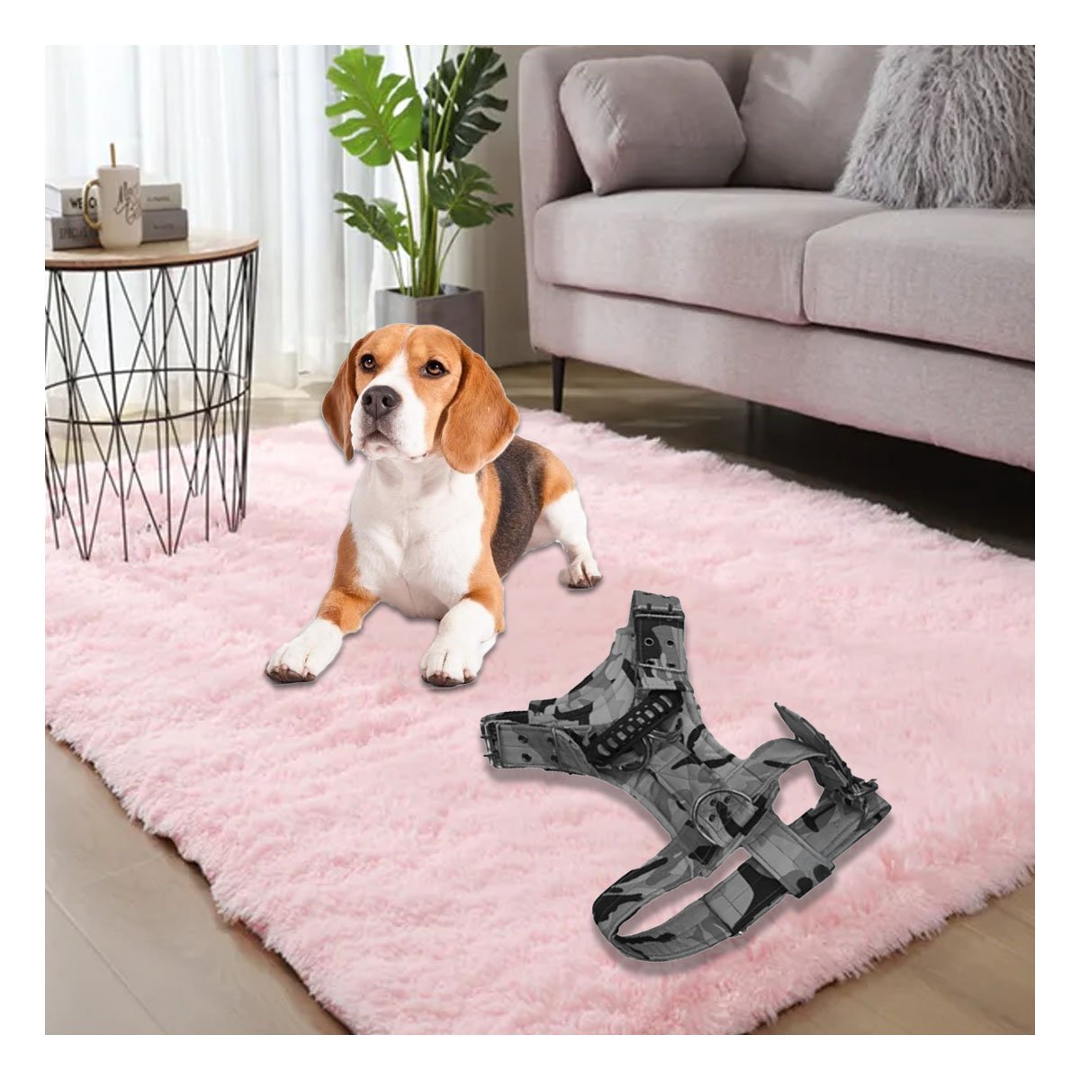 PACK4 ACCESORIO RESISTENTE DOG STRONG NEGRO TALLA S PARA PERRO Y+REGALO STICKER - 3