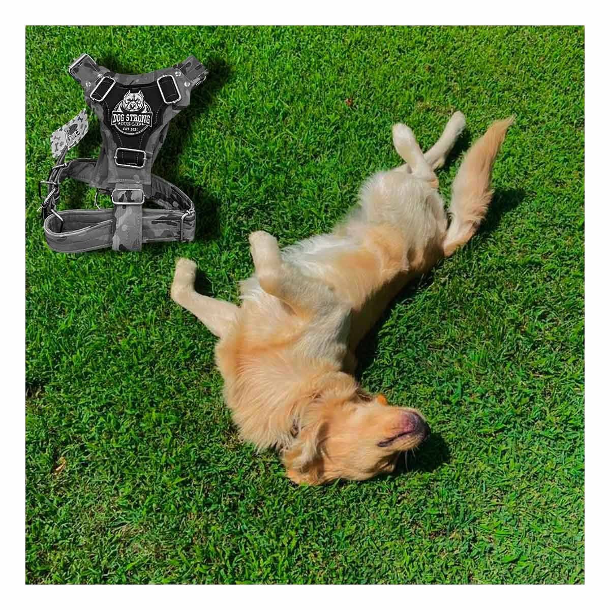 PACK2 CHALECO CANINO DOG STRONG NEGRO TALLA M CON DISENO MODERNO Y+PAPEL REGALO - 1