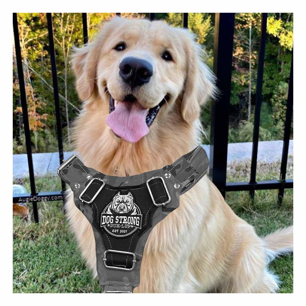 PACK2 CHALECO CANINO DOG STRONG NEGRO TALLA M CON DISENO MODERNO Y+PAPEL REGALO - 5