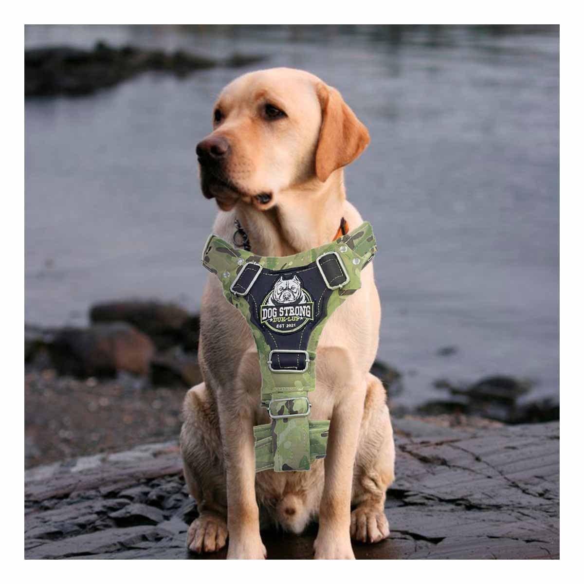 PACK2 EQUIPO CANINO DOG STRONG VERDE OSCURO TALLA L CON AJUSTE PRACTICO Y+REGALO STICKER - 5