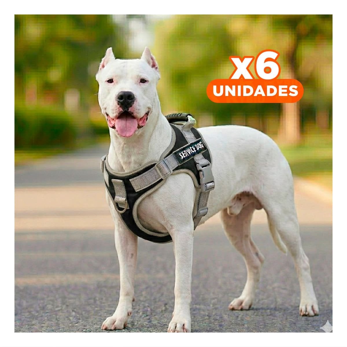 PACK6 PECHERA COMODA SERVICE DOG TALLA XS NEGRO CON ASA Y+REGALO STICKER - 1