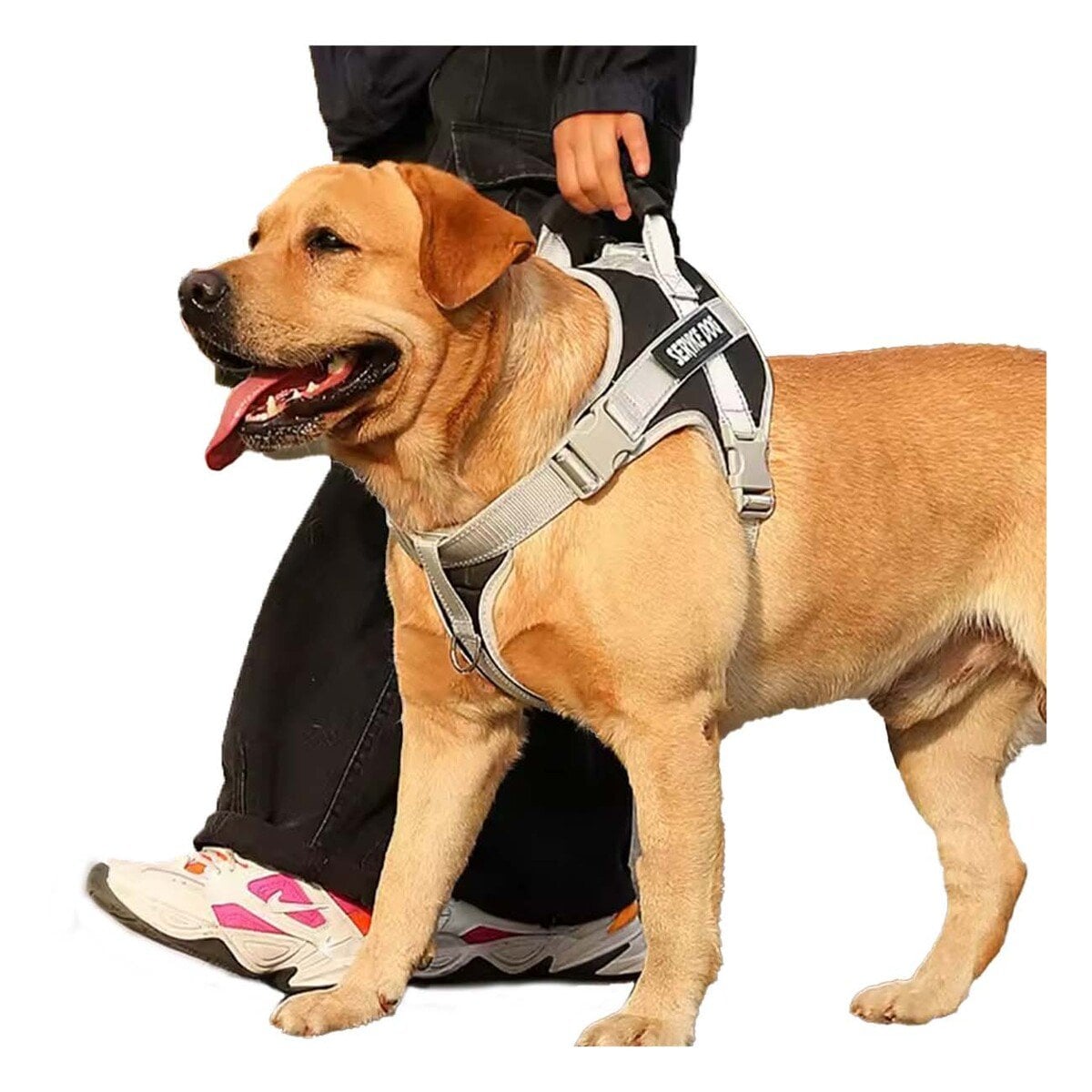 PACK6 PECHERA COMODA SERVICE DOG TALLA XS NEGRO CON ASA Y+REGALO STICKER - 2