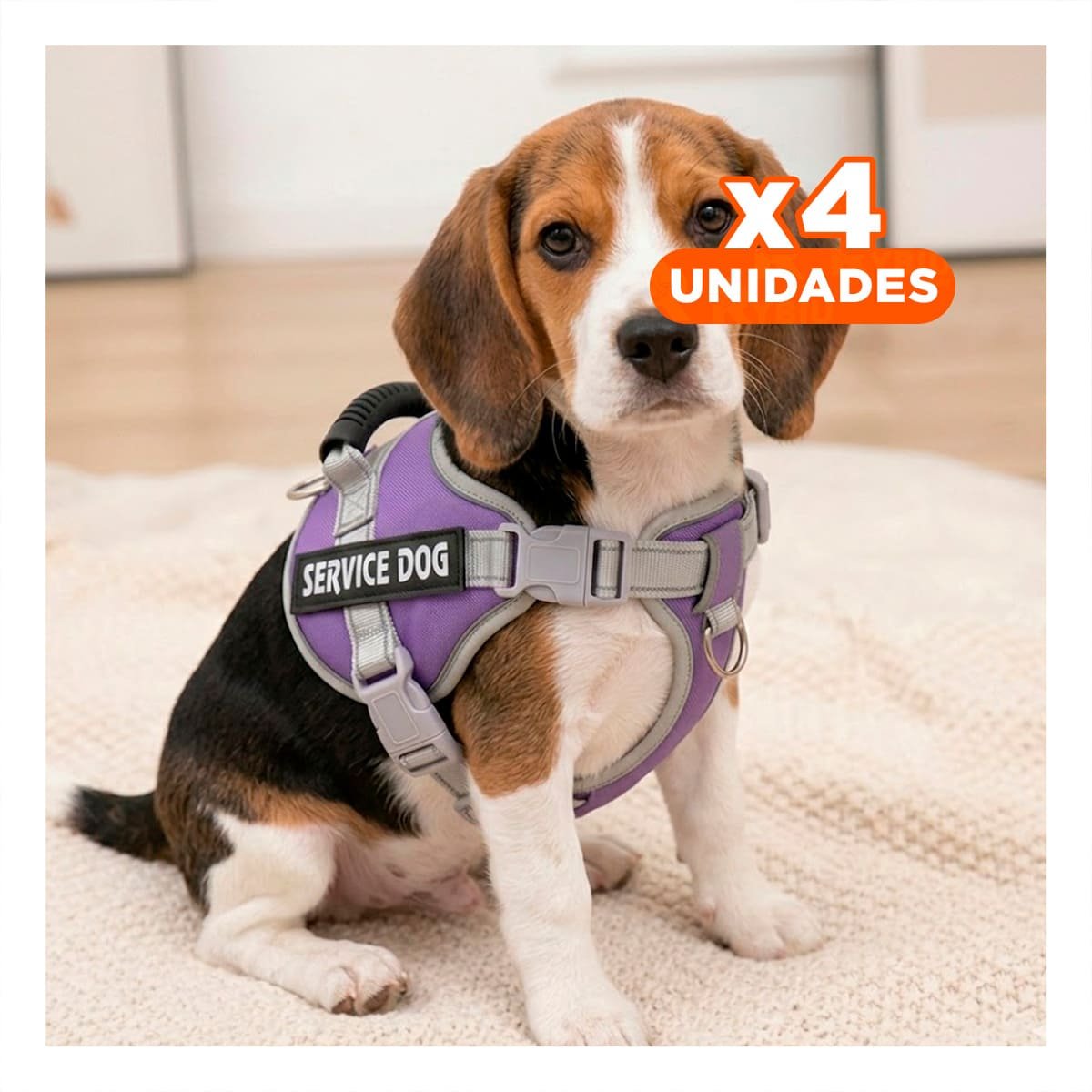 PACK4 PECHERA RESISTENTE SERVICE DOG TALLA XS MORADO CON ASA - 1