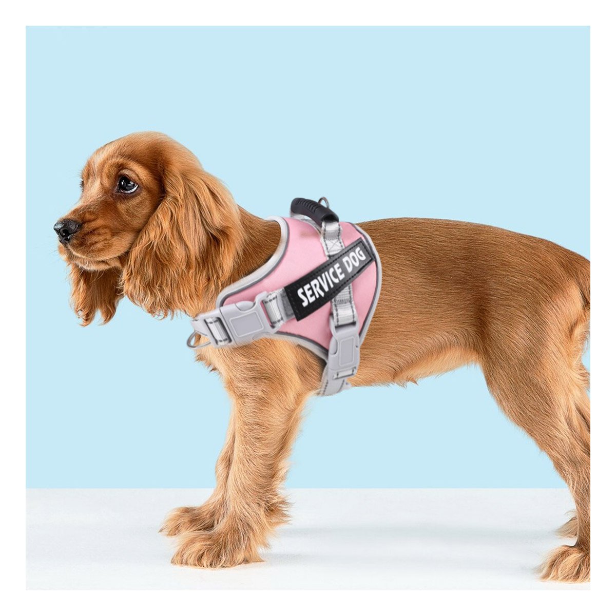 PETO PROFESIONAL SERVICE DOG TALLA XS ROSADO CLARO CON ASA Y+REGALO STICKER - 5