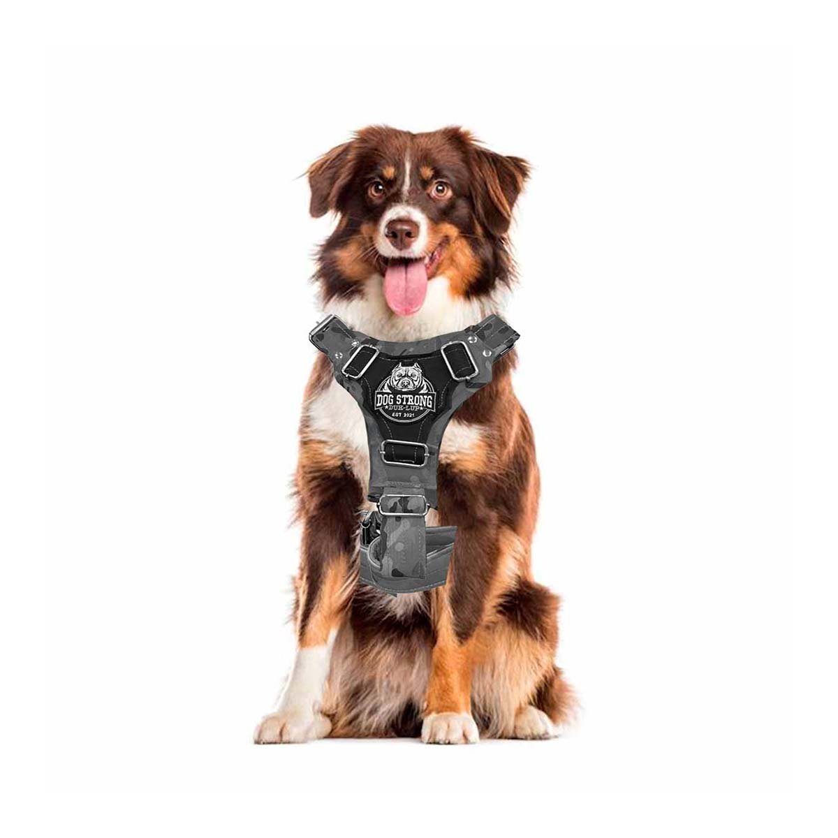 PETO PARA PERRO DOG STRONG NEGRO TALLA L FIRME Y RESISTENTE Y+LIGAS REGALO - 3