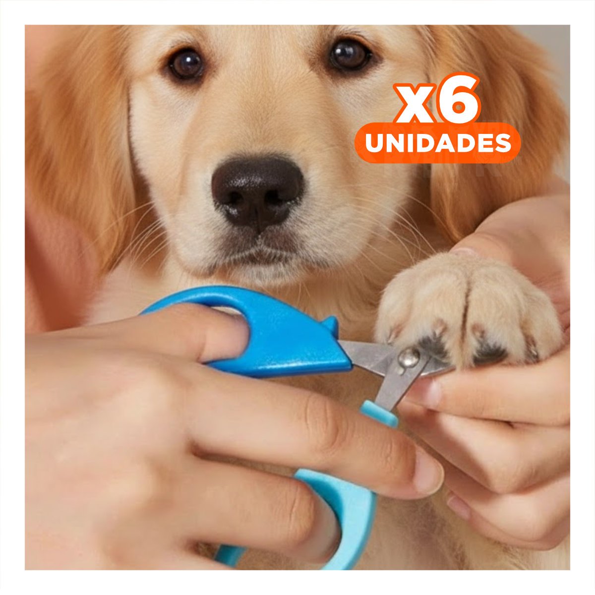 PACK6 CORTA UÑA ERGONOMICO PARA GATOS Y CACHORROS CELESTE Y+REGALO STICKER - 1