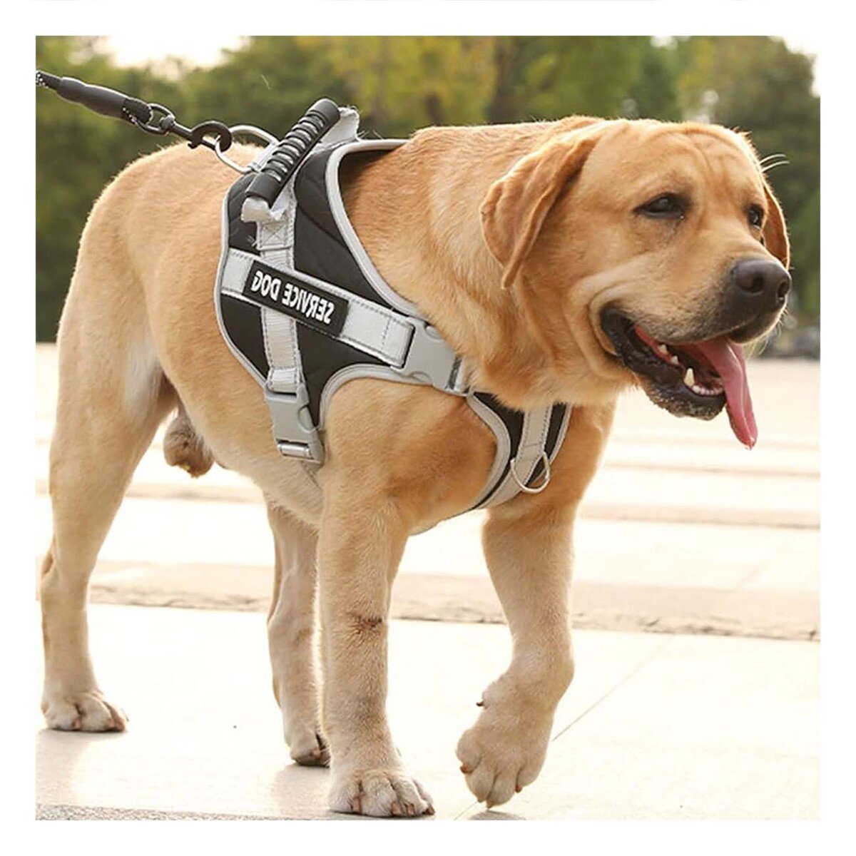 PECHERA AJUSTABLE SERVICE DOG TALLA XS NEGRO CON ASA Y+LIGAS REGALO - 2
