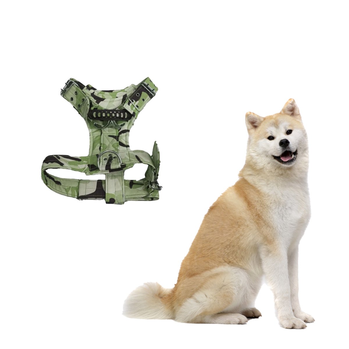 PRENDA PARA PERRO DOG STRONG VERDE OSCURO TALLA S COMODA Y DURABLE Y+LIGAS REGALO - 3