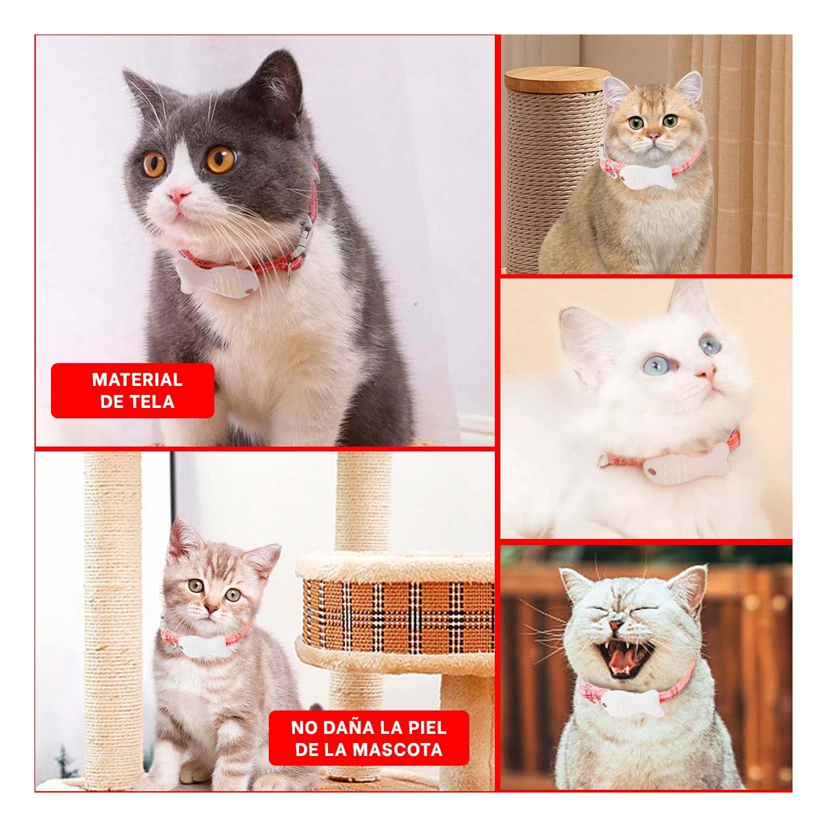 CINTA AJUSTABLE MODELO PEZ ROJO PARA MASCOTA - 5