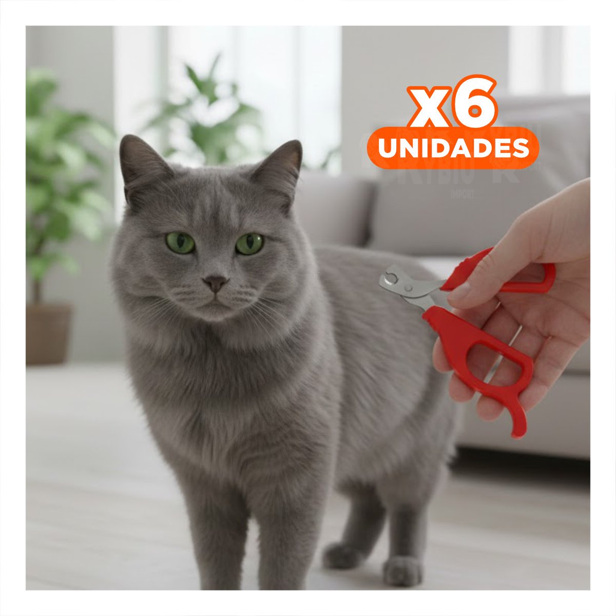PACK6 CORTA UÑA ERGONOMICO PARA GATOS Y CACHORROS ROJO Y+REGALO STICKER - 1