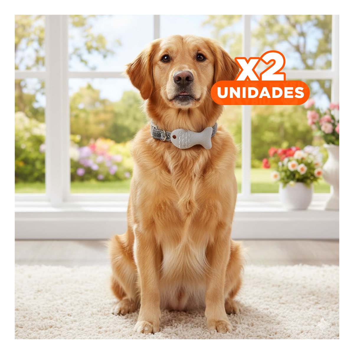 PACK2 COLLARIN LIGERO MODELO PEZ GRIS PARA MASCOTA Y+REGALO STICKER - 1