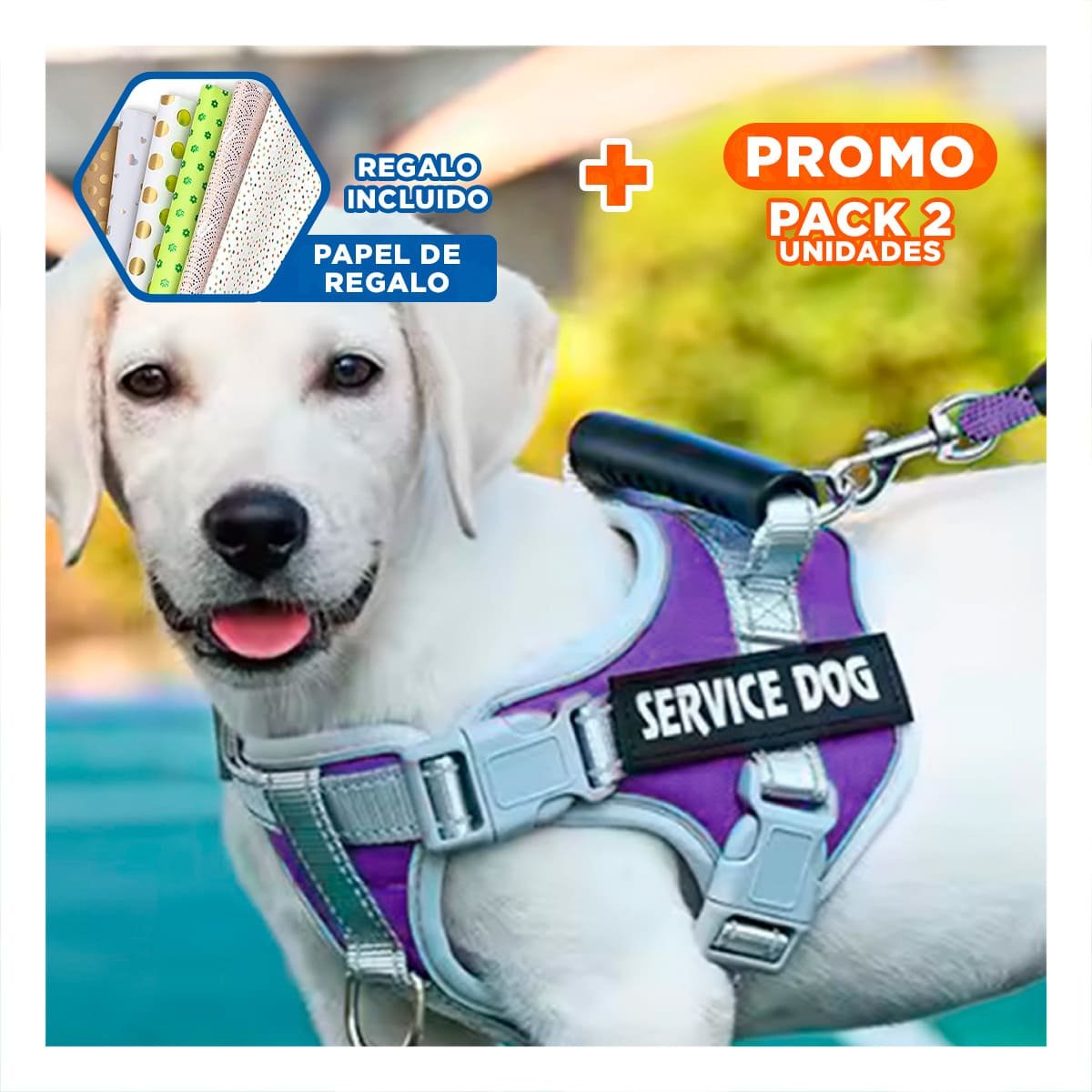 PACK2 HARNESS AJUSTABLE SERVICE DOG TALLA XS MORADO CON ASA Y+PAPEL REGALO - 1