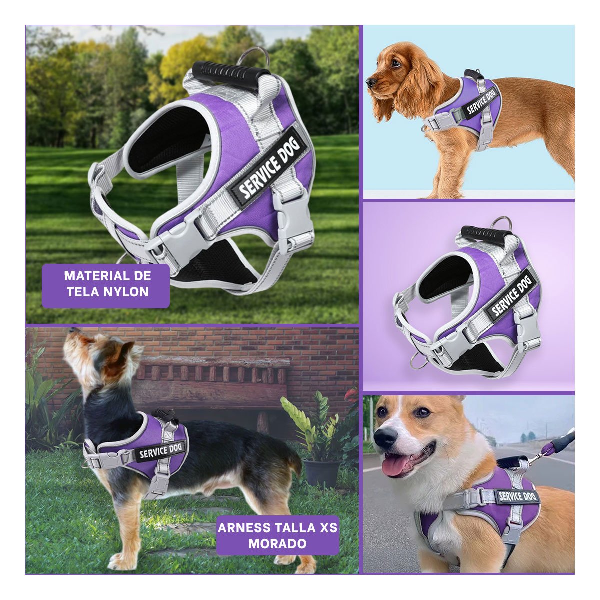 PACK2 HARNESS AJUSTABLE SERVICE DOG TALLA XS MORADO CON ASA Y+PAPEL REGALO - 3
