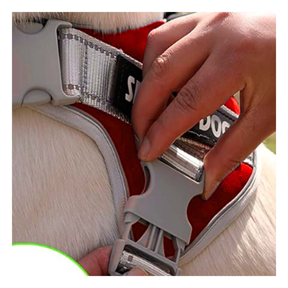 PACK2 PETO AJUSTABLE SERVICE DOG TALLA XS ROJO CON ASA Y+REGALO STICKER - 5