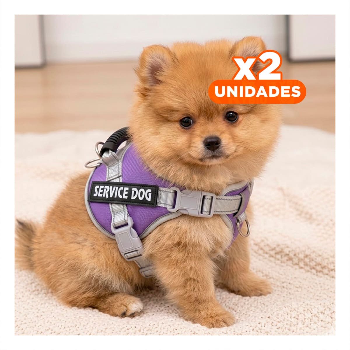 PACK2 PETO AJUSTABLE SERVICE DOG TALLA XS MORADO CON ASA Y+REGALO STICKER - 1